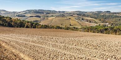 Podere dell'Anselmo