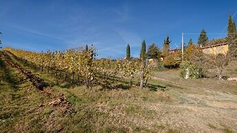 Podere dell'Anselmo