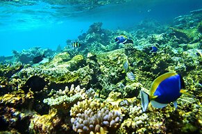 ROBINSON MALDIVES - Adults only - All Inclusive