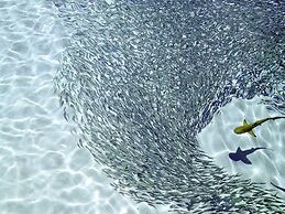 ROBINSON MALDIVES - Adults only - All Inclusive