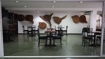 Hotel Casa del Arbol