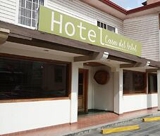 Hotel Casa del Arbol