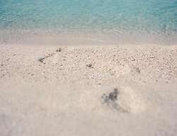 La Meta Alghero Rugby