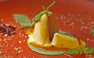 Niraamaya Surya Samudra