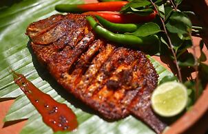 Niraamaya Surya Samudra