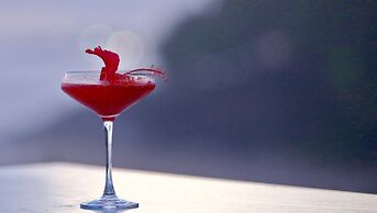 Niraamaya Surya Samudra