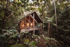 The Canopy Rainforest Treehouses and Wildlife Sanctuary