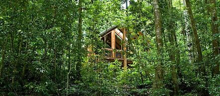 The Canopy Rainforest Treehouses and Wildlife Sanctuary