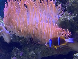 Reef Gateway Apartments