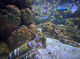 Reef Gateway Apartments