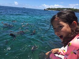 Reef Gateway Apartments