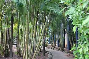 Bohemia Resort Cairns