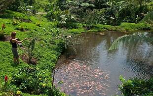 Huasquila Amazon Lodge