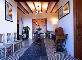 Cases Noves - Adults Only