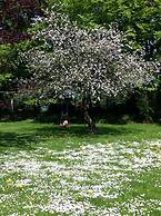 Tollundgaard Golf Park