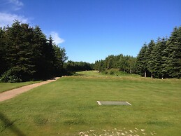 Tollundgaard Golf Park