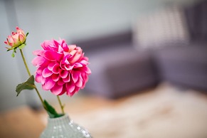 Boutique Hotel t Klooster