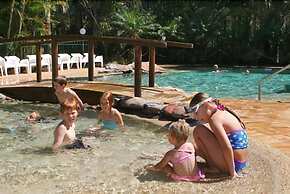 Gateway Lifestyle Lorikeet