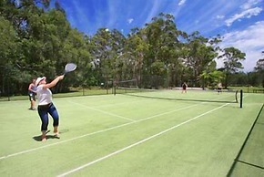 Gateway Lifestyle Lorikeet