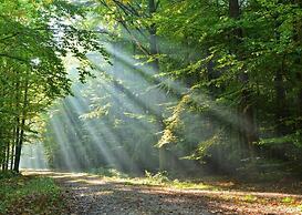 The Crown Stoke By Nayland