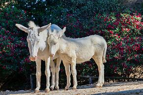 Arbatax Park Resort - Cottage