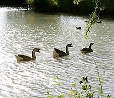 Le Domaine de Méjeans