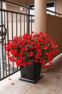 162 Kings of Riccarton Motel