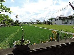 Nick's Hidden Cottages