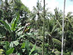 Nick's Hidden Cottages