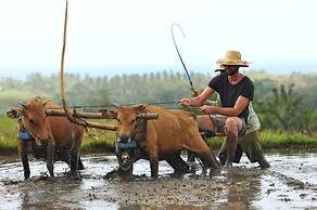 Puri Dajuma Beach Eco-Resort & Spa