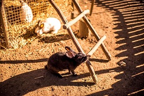 Park Hotel Drevny Grad