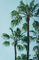 Apartamentos El Palmar