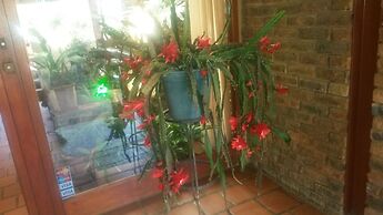 Acra Retreat, Mountain View Lodge