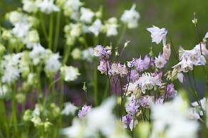 The Cornwall Hotel Spa & Estate