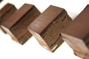 The Cornwall Hotel Spa & Estate