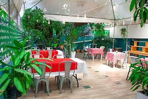 Morrison Hotel San Salvador