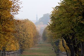 U Krále
