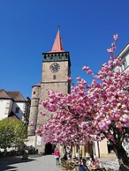 U Krále