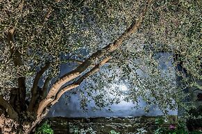 Konatzi tou Flokka Apartments