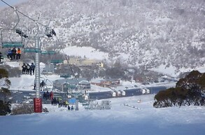 Snowy Gums