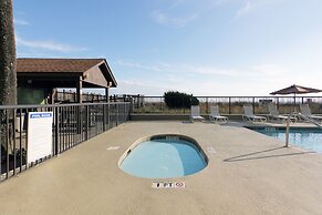 Peppertree By The Sea