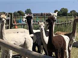 Waterside Guest House