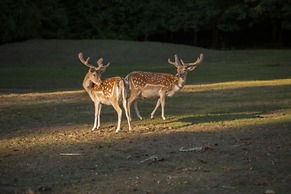 A Hidden Haven & Water Garden Cottages