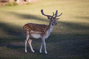 A Hidden Haven & Water Garden Cottages