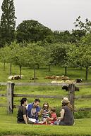 Domaine de la Tour B&B