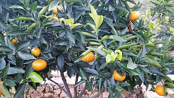 Hôtel Le Chardon Bleu