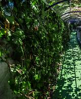 Hotel Ristorante Meson Feliz