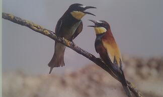 El Balcón De Alange Guesthouse