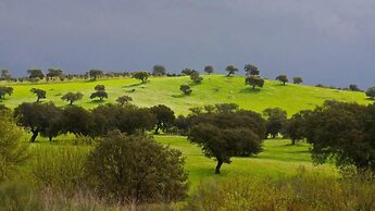 El Balcón De Alange Guesthouse