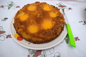 ABC - Bologna in B&B